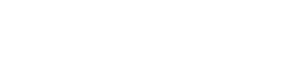 CRM Pro Logo